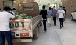 澧县吃瓜最新事件爆料新闻,揭秘当地最新热点舆情动态